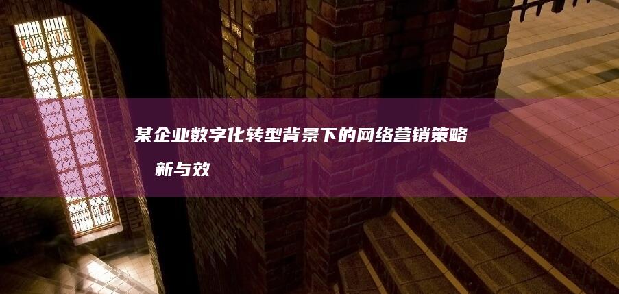 某企业数字化转型背景下的网络营销策略创新与效果评估研究论文